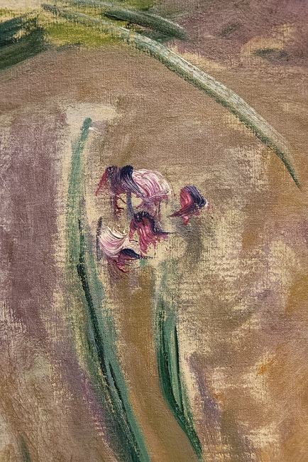 Musée Marmottan Monet-017